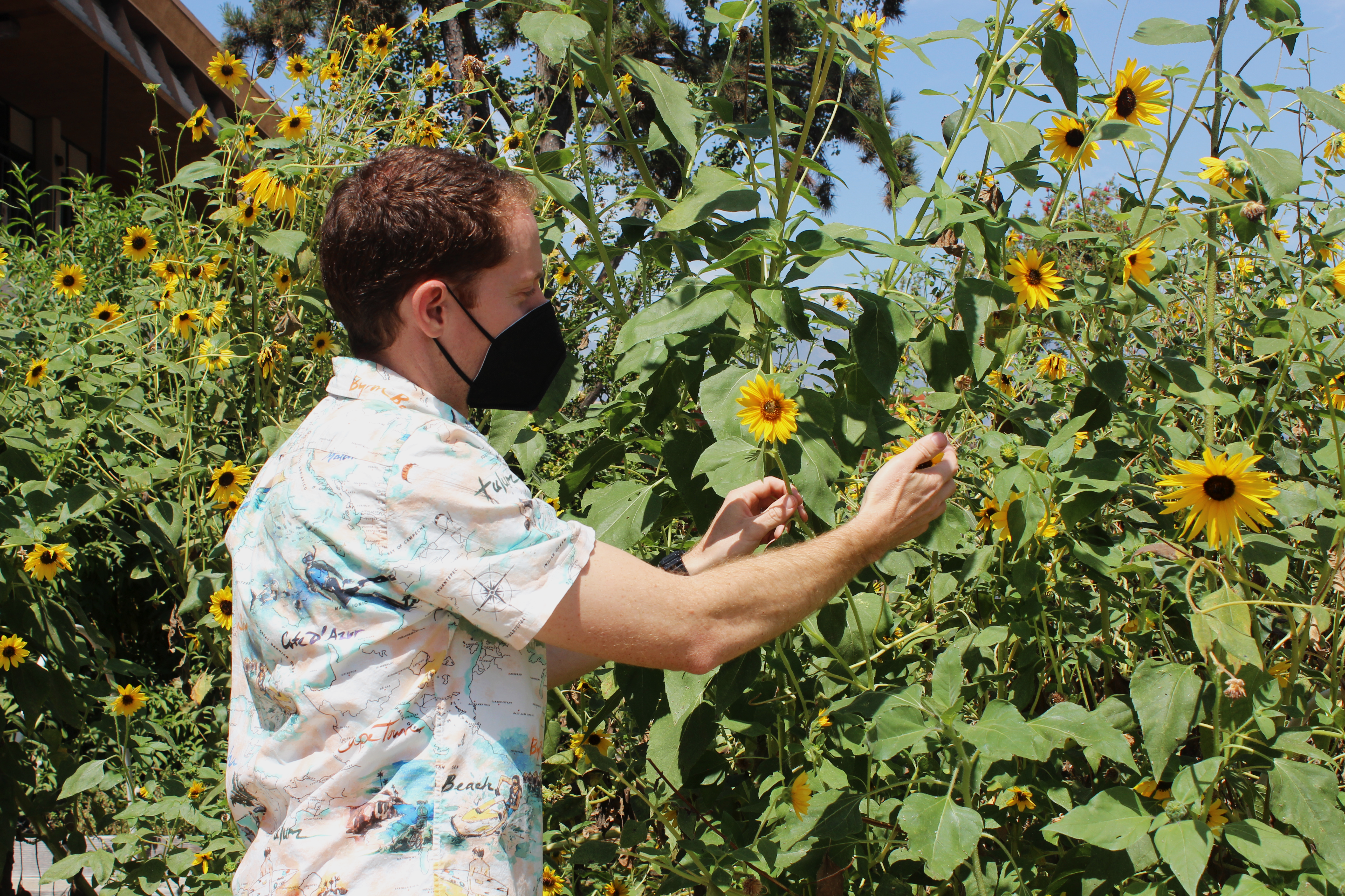 Cunningham spruces up garden, roots for students