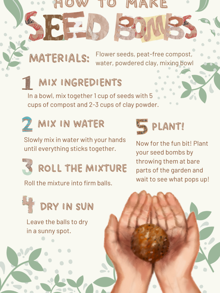 How to make seed bombs